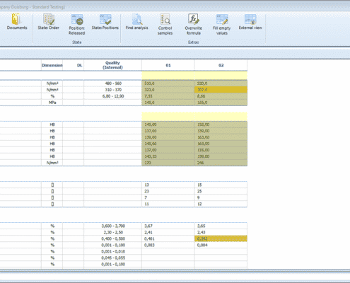 Software LIMS - Rappresentazione con opzione di input dei valori di un ordine di prova